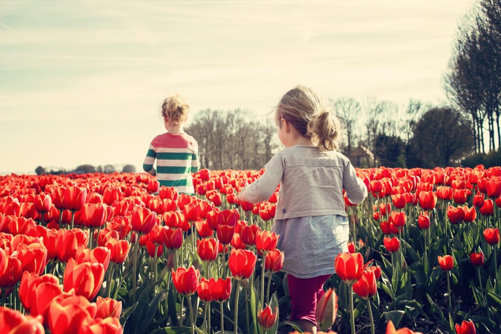 Bilden visar barn som leker på ett vallmoblomme fält. Ekologiska barnkläder till vardags och till fest kan du nu hitta online.